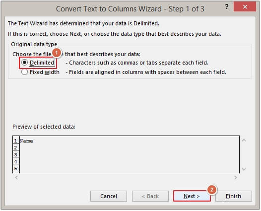 Select Delimited and click Next.