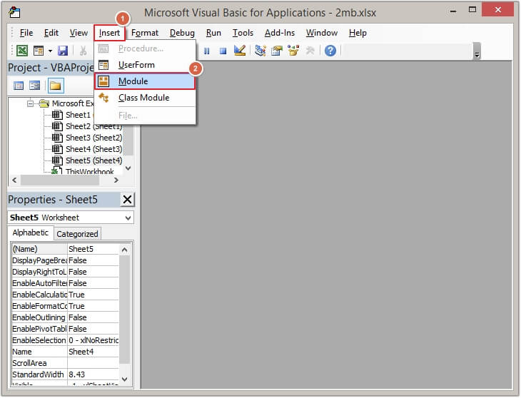 Click on the Insert button, then click Module